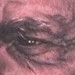 Tattoos - Willie Nelson - 47395